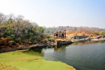 Altes Fort im Ranthambore Nationalpark, Indien Rundreise