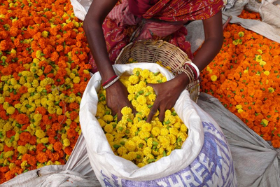 Blumenmarkt in Madurai, Südindien Reise, Indien Reisen