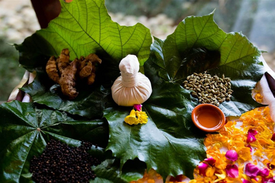 Spa, Ananda in the Himalayas, Indien Reisen