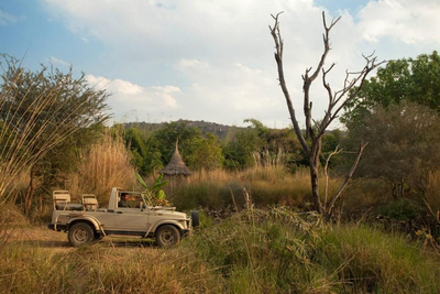 Safari im Khem Villas Resort, Ranthambore, Indien Naturreise, Wildtier