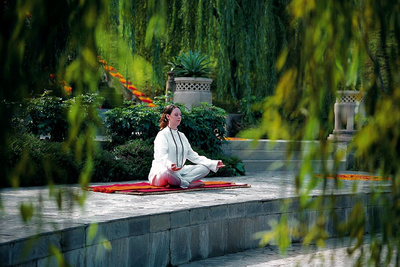 Meditation, Ananda in the Himalayas, Indien Reisen