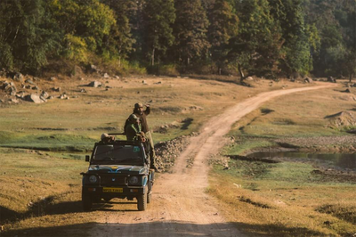 Safari mit dem Jamtara Wilderness Camp, Pench, Indien Naturreise, Wildtiere
