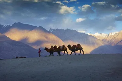 Kamalausritt, Champa Camp Diskit, Ladakh, Indien Luxusreise, Natur