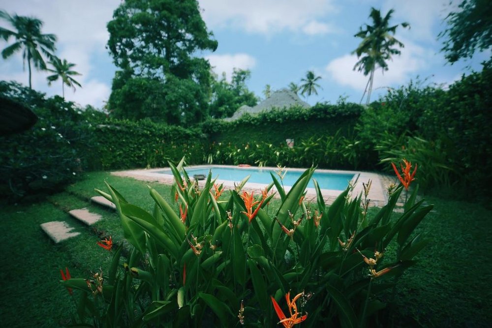 Swimming Pool, Marari Beach Resort, Hotel, Slow Travel, Kerala, Indien Rundreise
