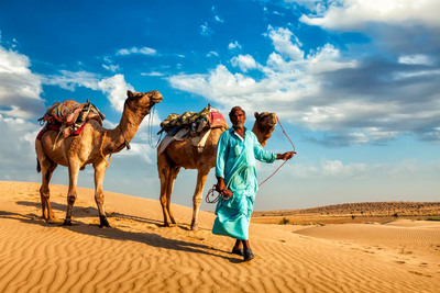 Thar Wüste, Rajasthan, Indien Reise, Kamele