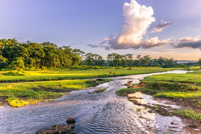 Chitwan Nationalpark, Nepal Reise
