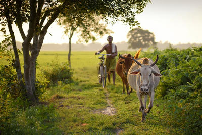 Landleben, Indien Naturreise