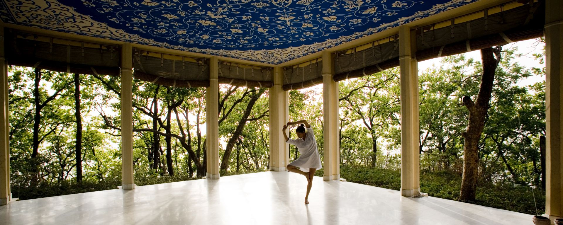 Yoga Halle, Ananda in the Himalayas, Indien Reisen