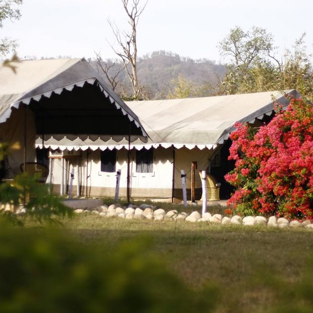 Jim's Jungle Retreat, Corbett, Indien Reisen
