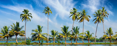 Backwaters, Kerala, Indien Reise