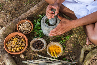 Ayurveda, Heilpflanzen, Indien Reiseblog