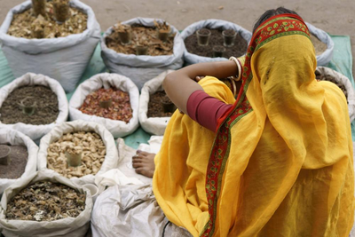 Gewürzhändlerin in Alt-Delhi, Indien und Nepal Rundreise, Streetfood