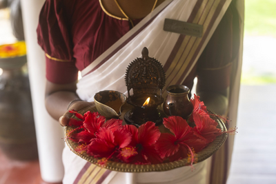Tee, Coconut Lagoon, Indien Reise