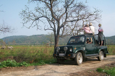 Safari, Kaziranga Nationalpark, Ostindien Reise, Natur