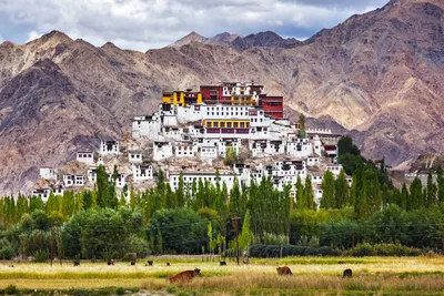 Kloster Tikse, Indien Luxusreise, Kultur