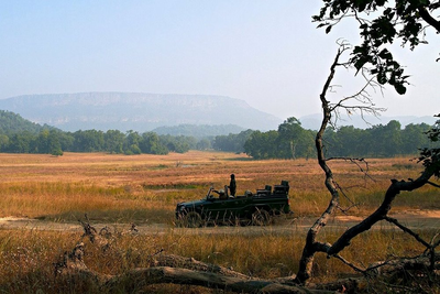 Safari mit der Samode Safari Lodge, Bandhavgarh, Indien Naturreise, Abenteuer