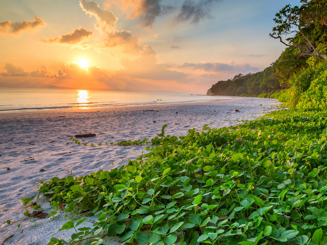 Strand auf Havelock Island, Andamanen, Indien Reise