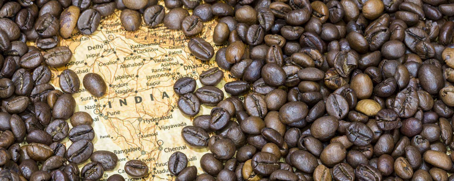 Eine Erfolgsgeschichte: Kaffeeanbau in Indien