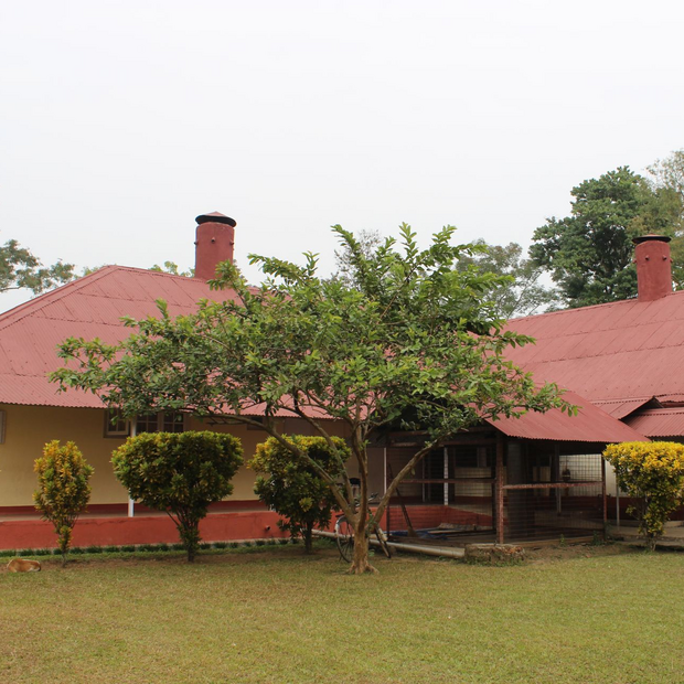 Wathai Heritage Bungalow in Tinsukia, Indien